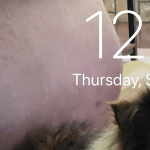 Meet your Posher, Nathan